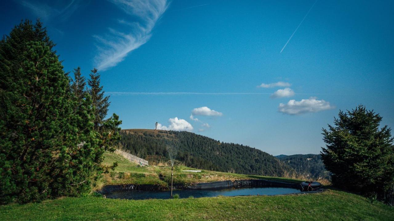 Berggasthof Zur Todtnauer Huette فيلدبرج المظهر الخارجي الصورة