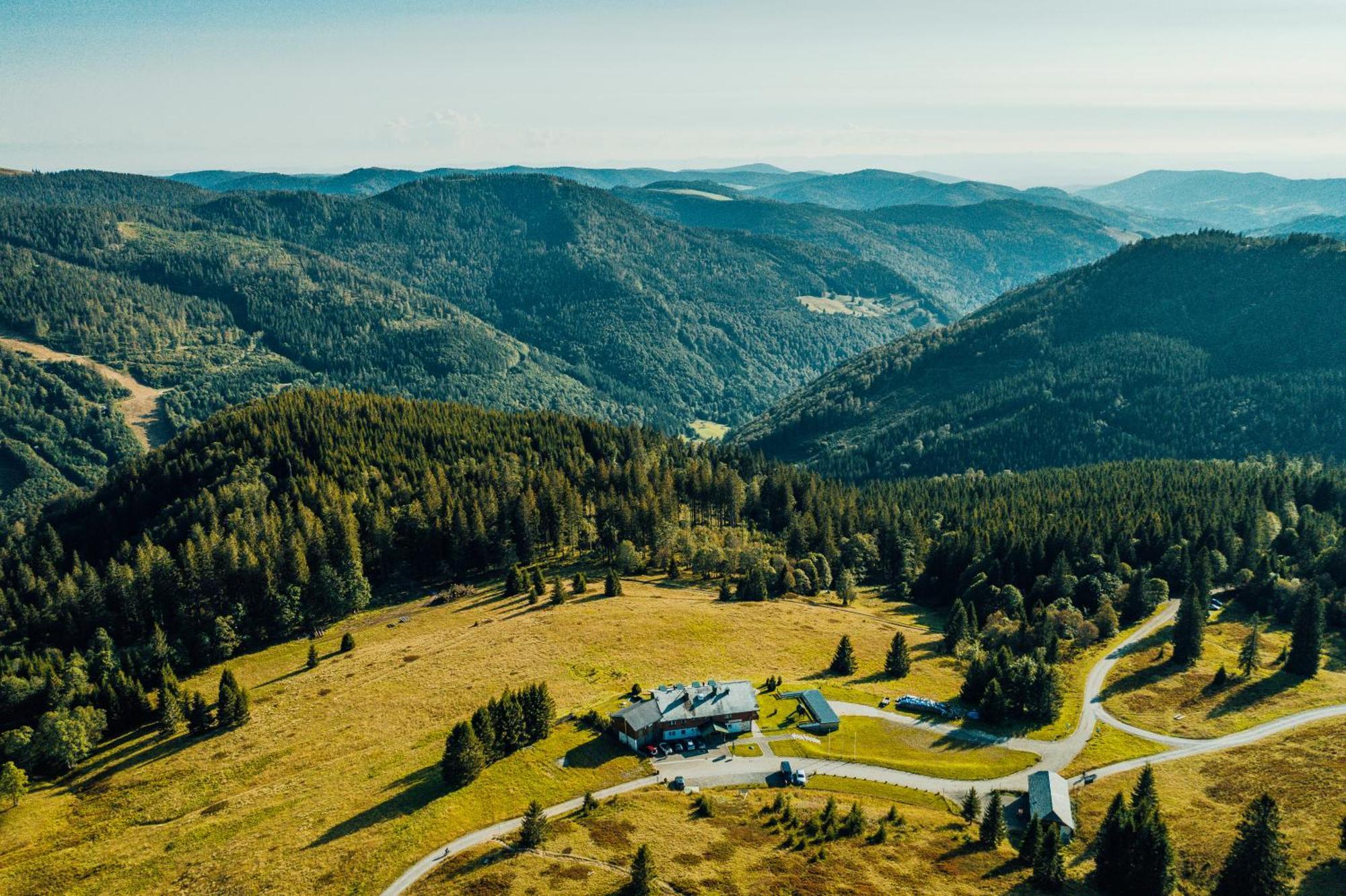 Berggasthof Zur Todtnauer Huette فيلدبرج المظهر الخارجي الصورة